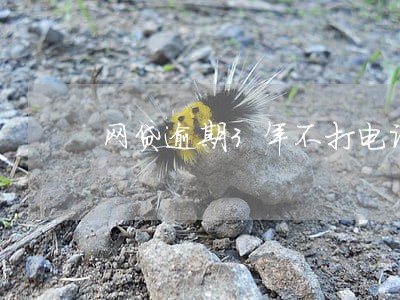 网贷逾期3年不打电话了 网贷逾期3年不打电话了