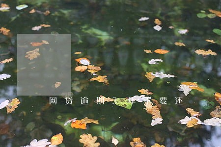 网贷逾期3年不要还 网贷逾期3年不要还