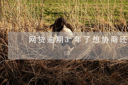 网贷逾期3年了想协商还款