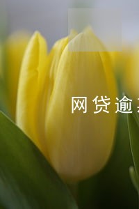 网贷逾期3年了网上还能贷款吗 网贷逾期3年了网上还能贷款吗