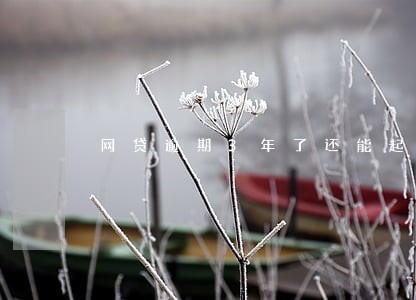 网贷逾期3年了还能起诉吗