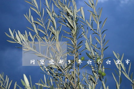 网贷逾期3年会不会坐牢 网贷逾期3年会不会坐牢