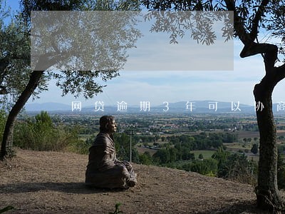 网贷逾期3年可以协商还款吗 网贷逾期3年可以协商还款吗