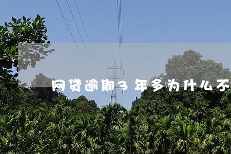 网贷逾期3年多为什么不起诉
