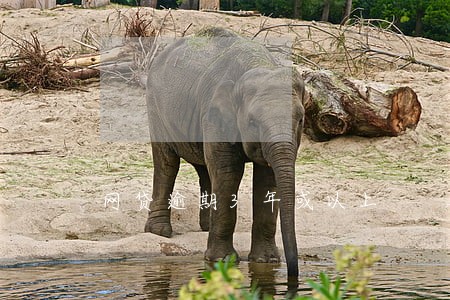 网贷逾期3年或以上 网贷逾期3年或以上