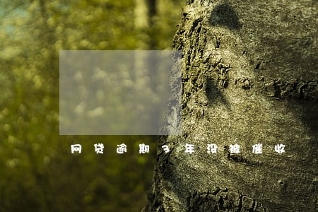 网贷逾期3年没被催收 网贷逾期3年没被催收