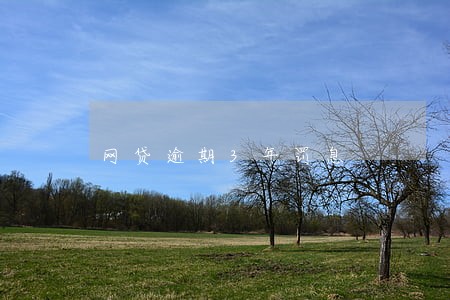网贷逾期3年罚息 网贷逾期3年罚息
