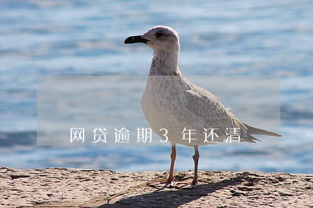 网贷逾期3年还清 网贷逾期3年还清