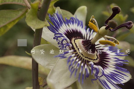 网贷逾期3年还能立案吗 网贷逾期3年还能立案吗