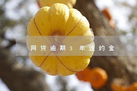 网贷逾期3年违约金 网贷逾期3年违约金