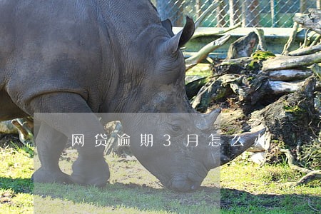 网贷逾期3月怎么办 网贷逾期3月怎么办