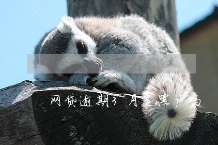 网贷逾期3月是黑户吗 网贷逾期3月是黑户吗