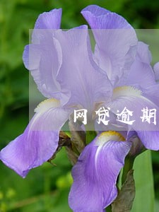 网贷逾期3期可以先还一期的吗 网贷逾期3期可以先还一期的吗