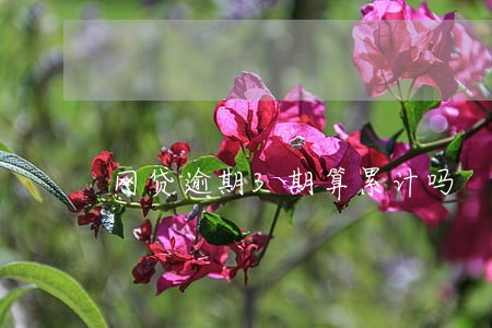 网贷逾期3期算累计吗 网贷逾期3期算累计吗