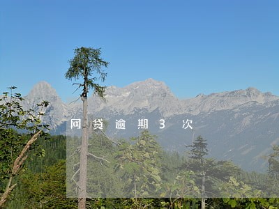 网贷逾期3次 网贷逾期3次