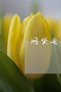 网贷逾期400人投诉 网贷逾期400人投诉
