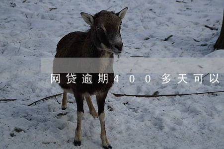 网贷逾期400多天可以出国吗 网贷逾期400多天可以出国吗
