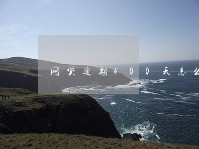 网贷逾期400天怎么办