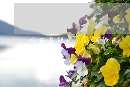 网贷逾期400百多天 网贷逾期400百多天