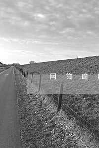 网贷逾期40万未还会怎样