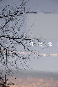 网贷逾期40万还不上 网贷逾期40万还不上