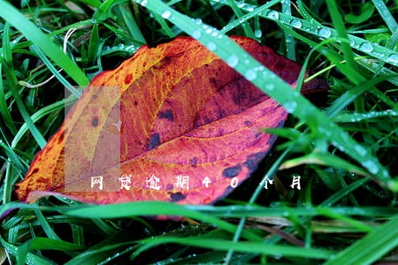 网贷逾期40个月 网贷逾期40个月
