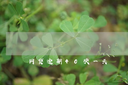 网贷逾期40块一天 网贷逾期40块一天