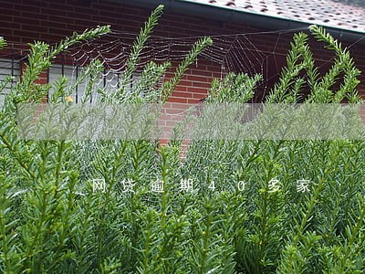 网贷逾期40多家 网贷逾期40多家