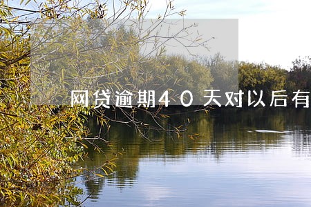 网贷逾期40天对以后有什么影响 网贷逾期40天对以后有什么影响