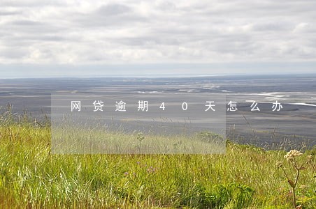 网贷逾期40天怎么办 网贷逾期40天怎么办