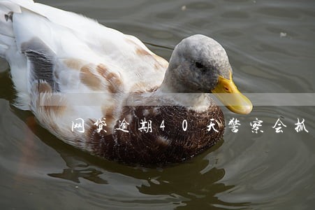 网贷逾期40天警察会抓人吗 网贷逾期40天警察会抓人吗