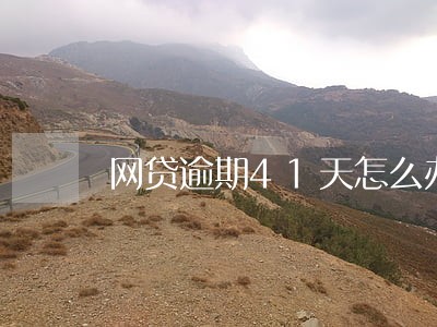 网贷逾期41天怎么办