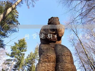 网贷逾期42个月征信