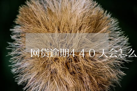网贷逾期440天会怎么样 网贷逾期440天会怎么样
