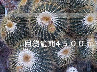 网贷逾期4500元三年 网贷逾期4500元三年