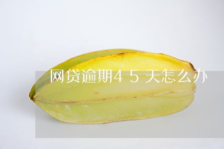网贷逾期45天怎么办 网贷逾期45天怎么办