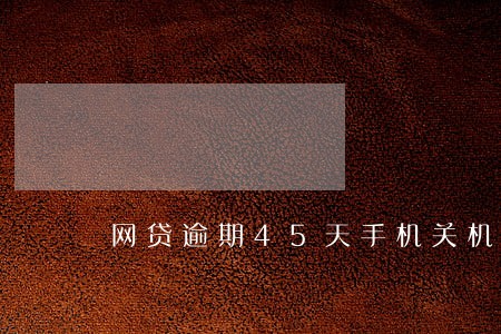 网贷逾期45天手机关机 网贷逾期45天手机关机