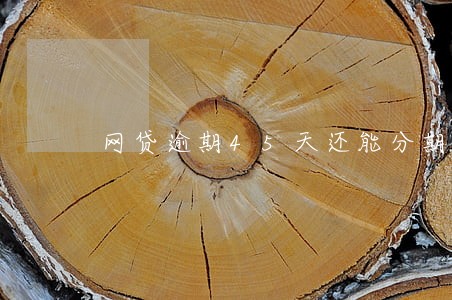 网贷逾期45天还能分期吗 网贷逾期45天还能分期吗