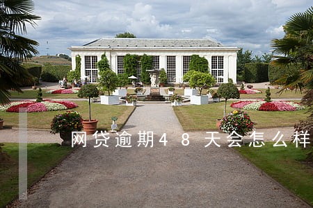 网贷逾期48天会怎么样 网贷逾期48天会怎么样
