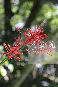 网贷逾期48天会被起诉吗 网贷逾期48天会被起诉吗