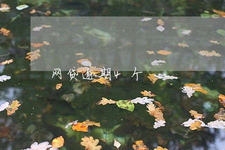 网贷逾期4个 网贷逾期4个