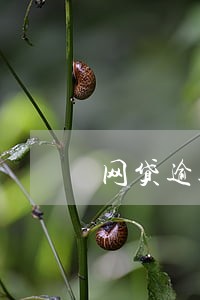 网贷逾期4个月没钱还怎么办 网贷逾期4个月没钱还怎么办