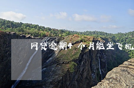 网贷逾期4个月能坐飞机吗 网贷逾期4个月能坐飞机吗