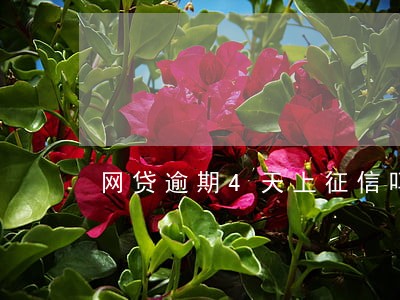 网贷逾期4天上征信吗