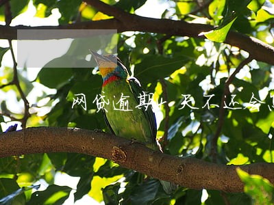 网贷逾期4天不还会怎么样 网贷逾期4天不还会怎么样