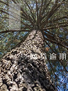 网贷逾期4天会有什么结果 网贷逾期4天会有什么结果