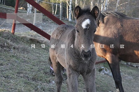 网贷逾期4天但以还款 网贷逾期4天但以还款