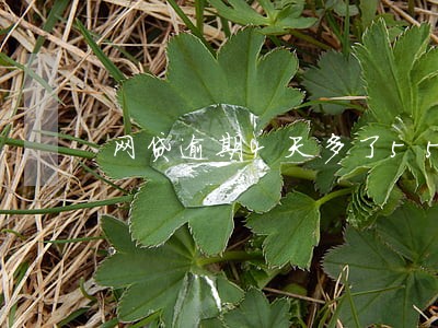 网贷逾期4天多了55元 网贷逾期4天多了55元