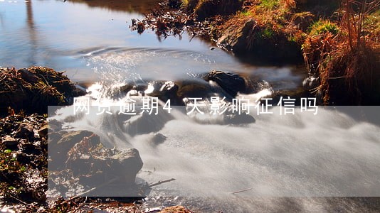 网贷逾期4天影响征信吗 网贷逾期4天影响征信吗