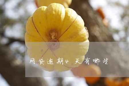 网贷逾期4天有哪些 网贷逾期4天有哪些